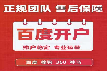 某某SEM服务公司成功案例：从数据出发的营销策略